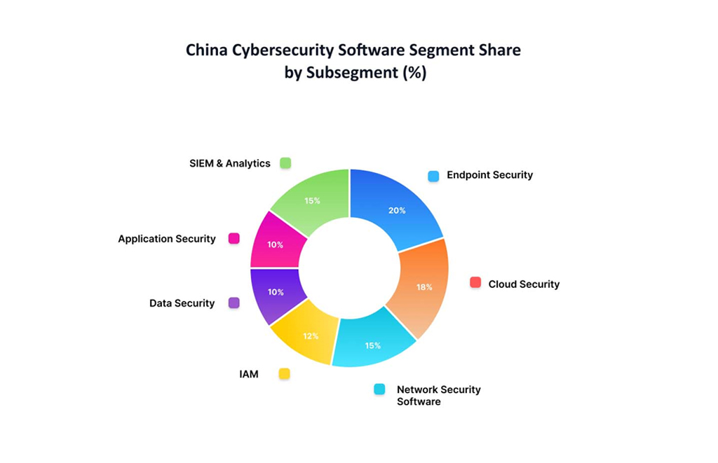 China Cybersecurity Software Segment